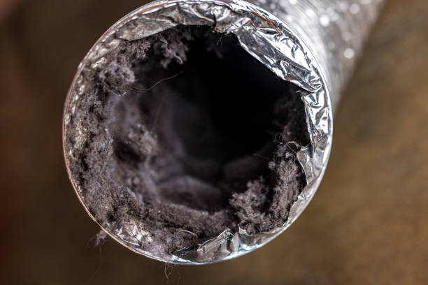 Professional Airduct Cleaning in MI