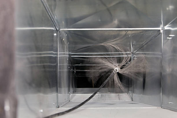 Best Air Duct Mold Removal  in Farngton Hills, MI